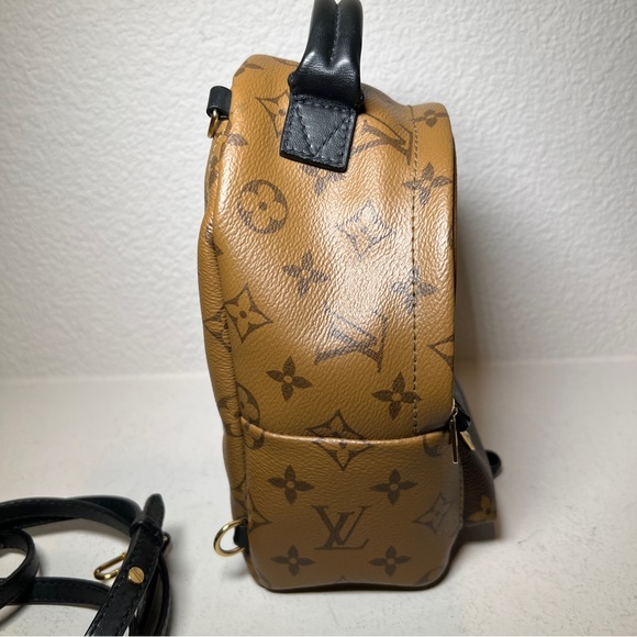 Louis Vuitton Palm Springs Mini - Picture 3 of 9